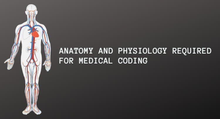 course | Anatomy and Physiology Required for Medical Coding